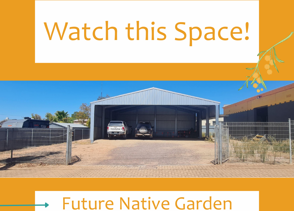 A future Native Garden