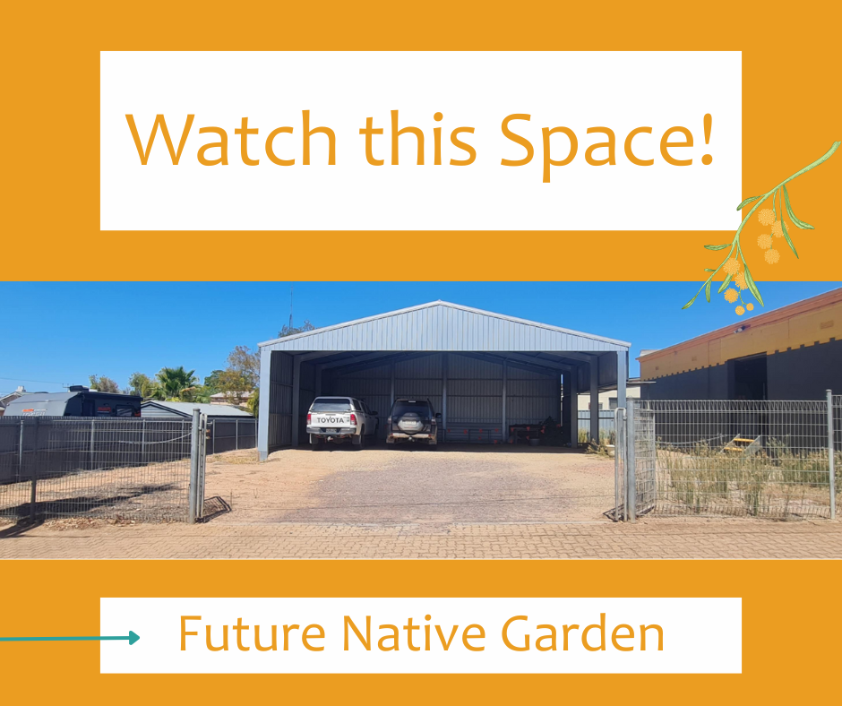 A future Native Garden